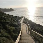 The Surf - אריסרייה